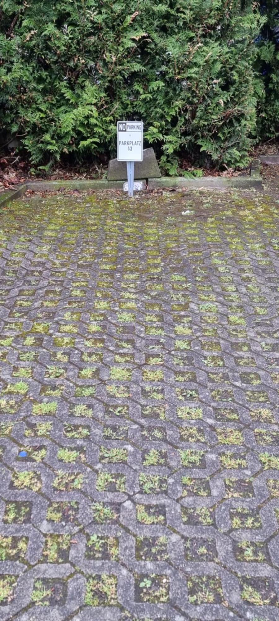 Ferienwohnung Am Kurwald In Bad Lippspringe Exteriör bild