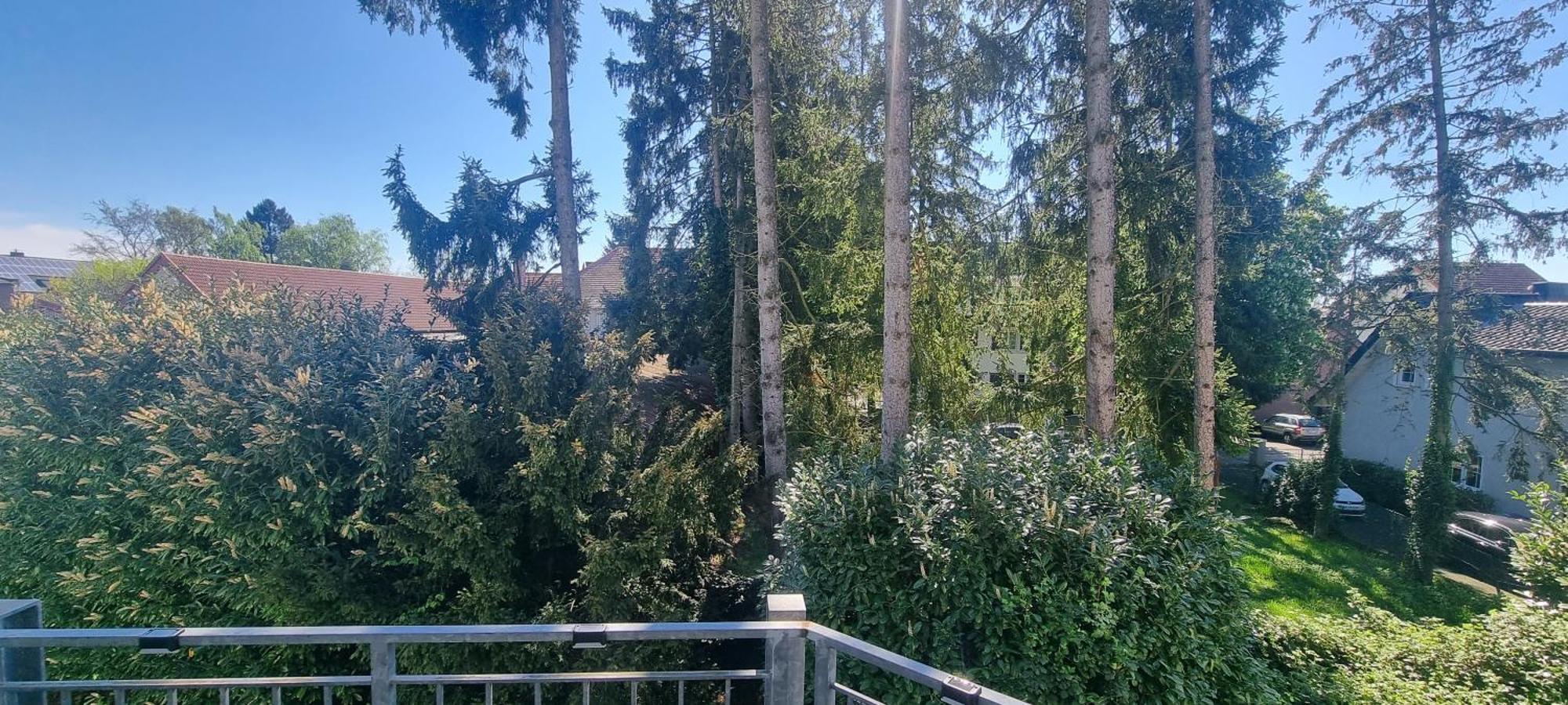 Ferienwohnung Am Kurwald In Bad Lippspringe Exteriör bild